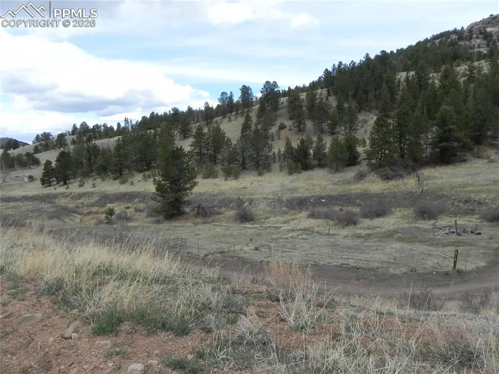 521 Monarch Drive Cripple Creek, CO 80813