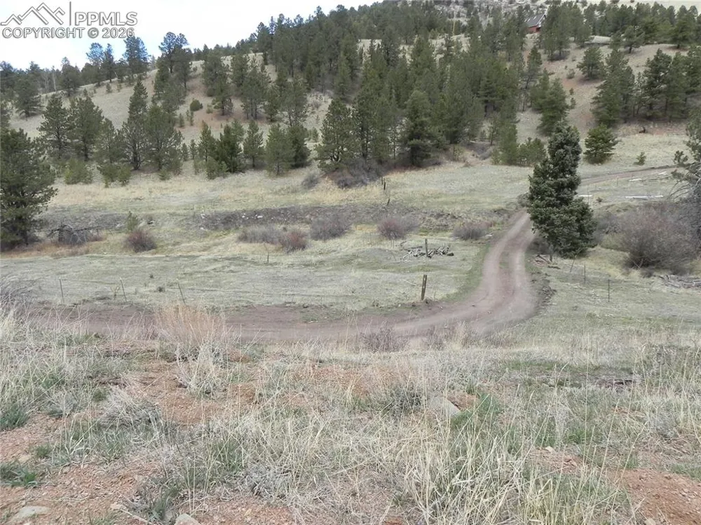 521 Monarch Drive Cripple Creek, CO 80813