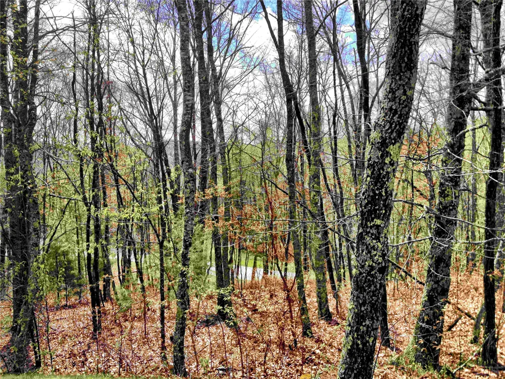 10 Trellis Lane Cashiers, NC 28717