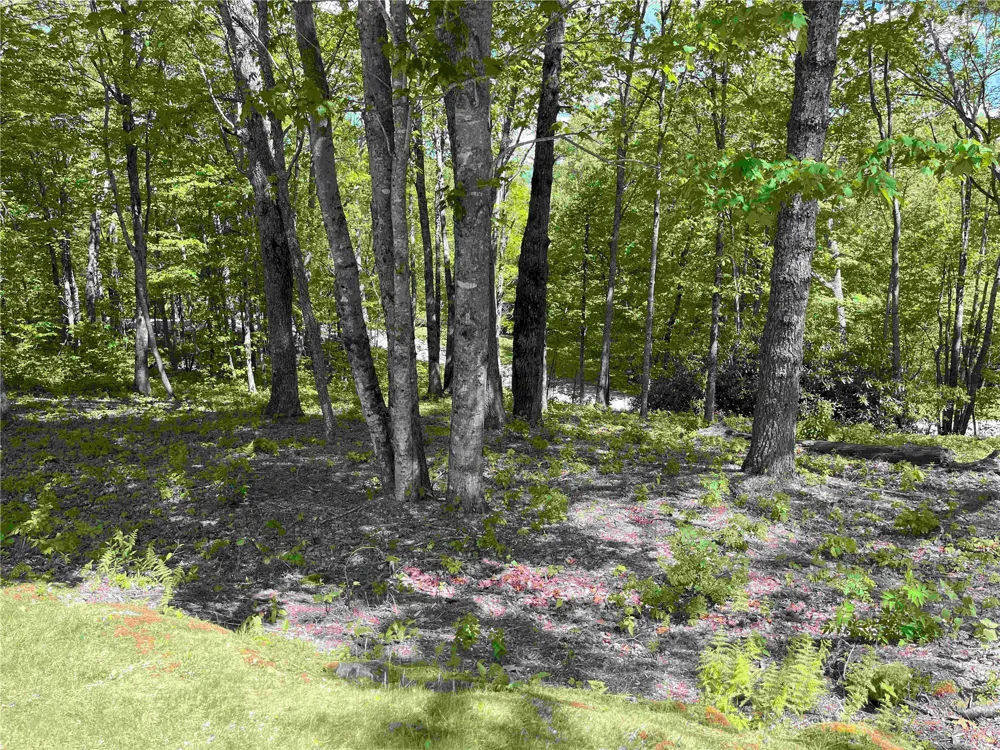 10 Trellis Lane Cashiers, NC 28717