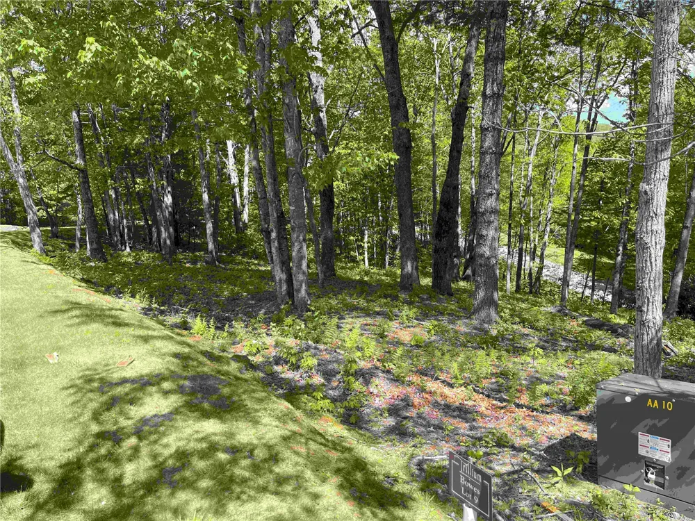 10 Trellis Lane Cashiers, NC 28717