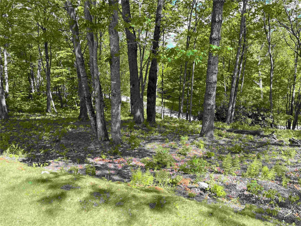 10 Trellis Lane Cashiers, NC 28717