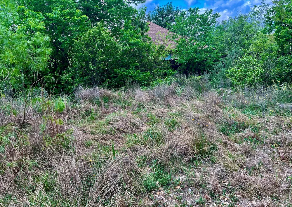 15209 CAVALIER CANYON DRIVE Lakeway, TX 78734
