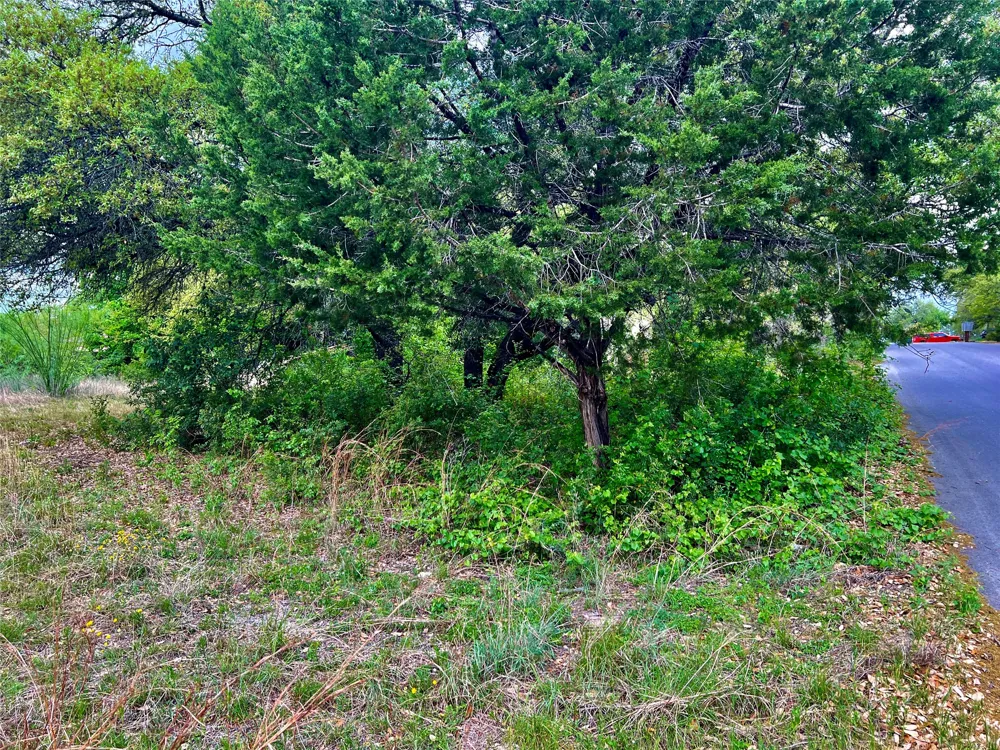 15209 CAVALIER CANYON DRIVE Lakeway, TX 78734