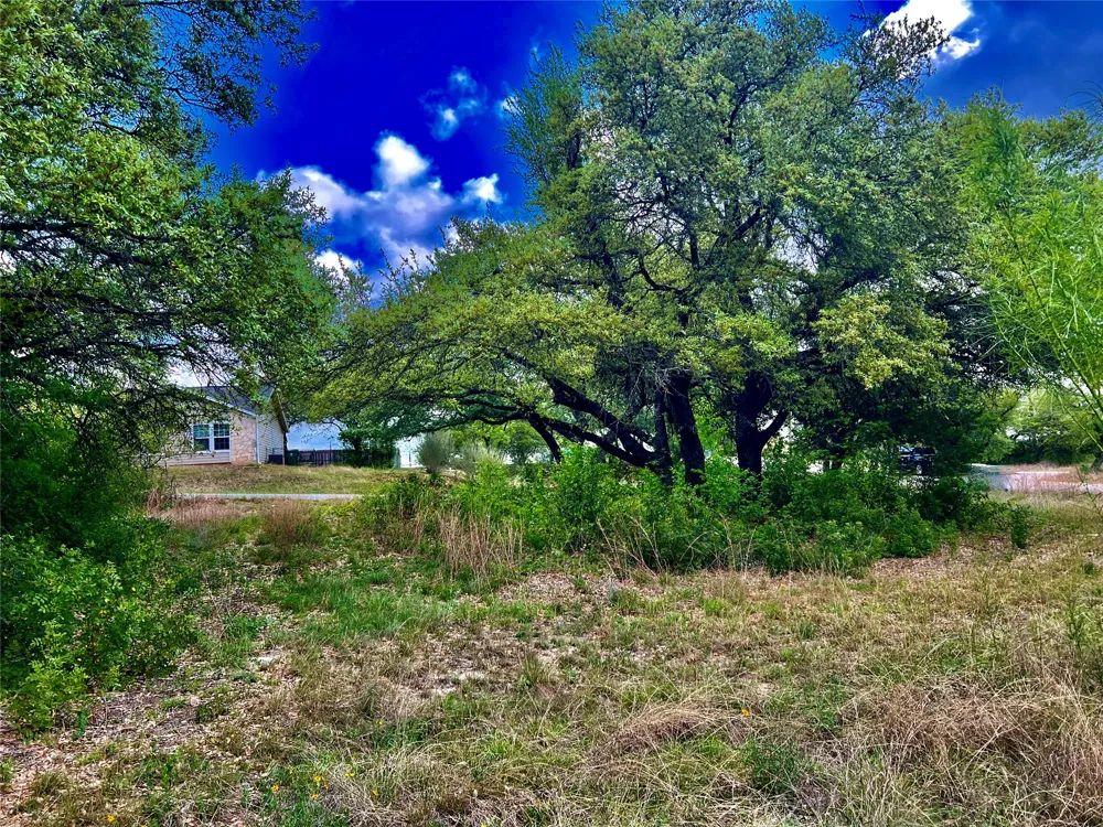 15209 CAVALIER CANYON DRIVE Lakeway, TX 78734