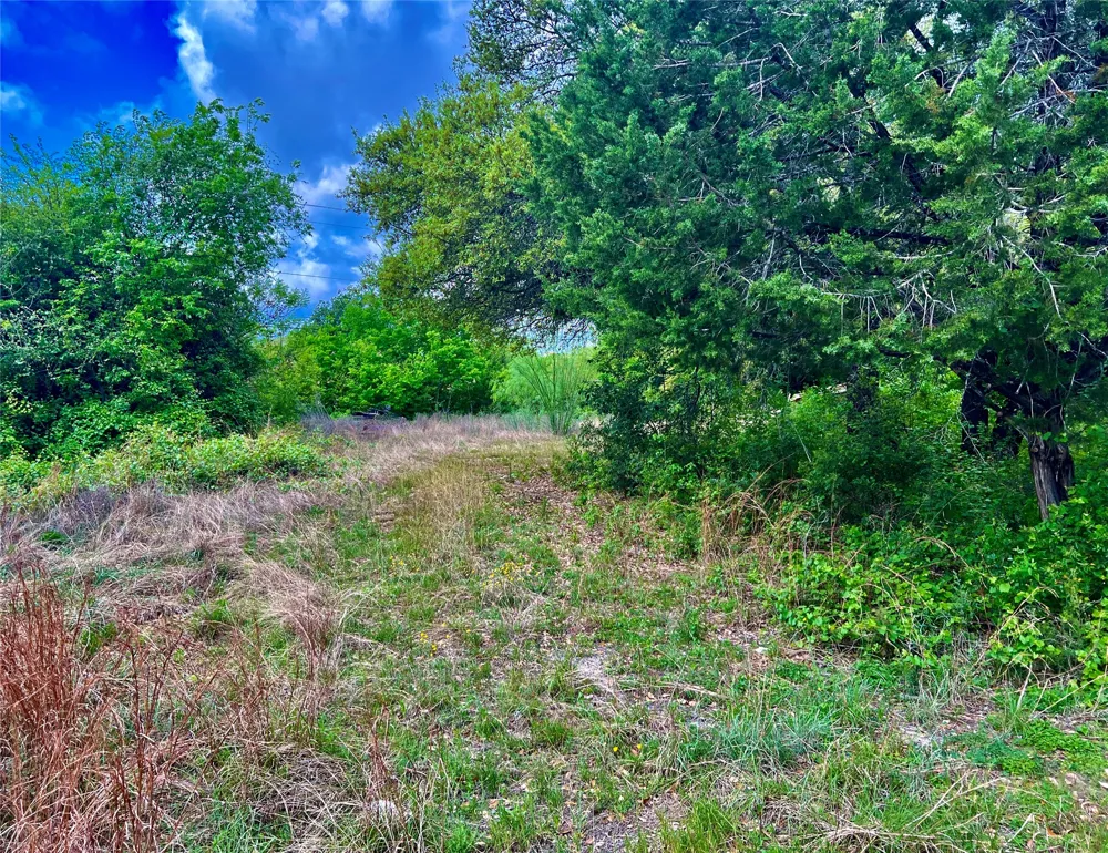 15209 CAVALIER CANYON DRIVE Lakeway, TX 78734