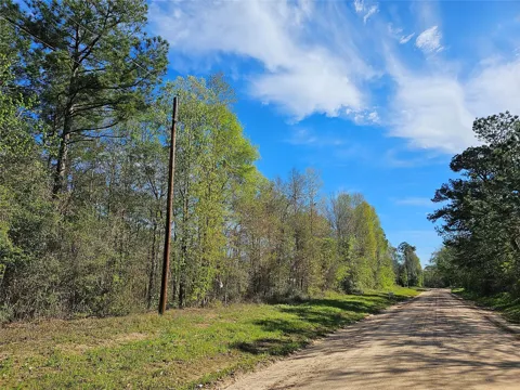 Magnolia Woods Drive