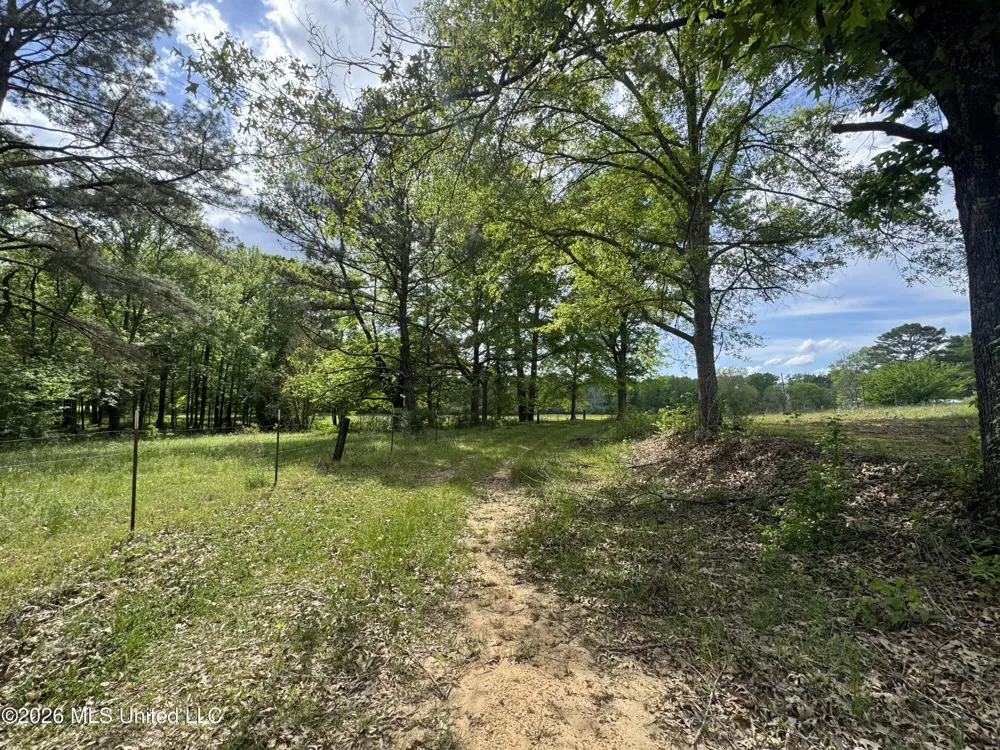 Ms-13 Mendenhall, MS 39114
