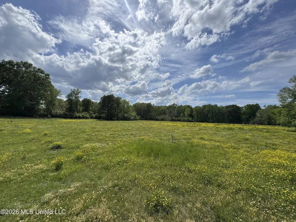 Ms-13 Mendenhall, MS 39114