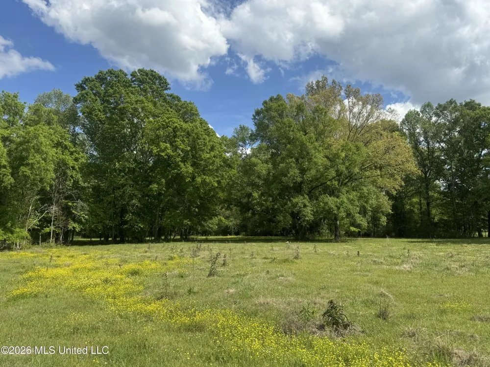 Ms-13 Mendenhall, MS 39114