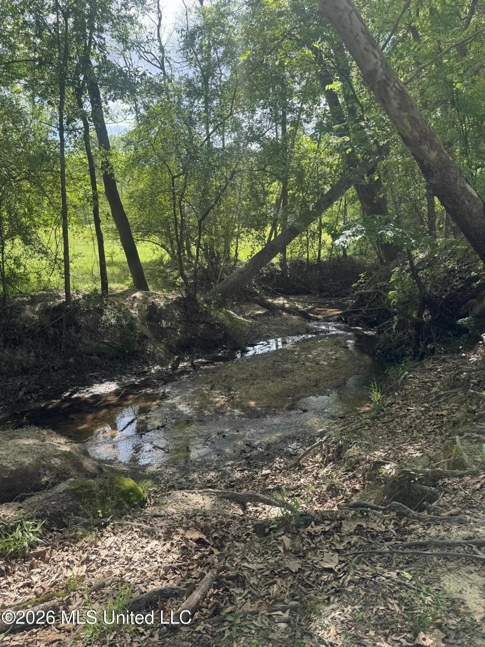 Ms-13 Mendenhall, MS 39114