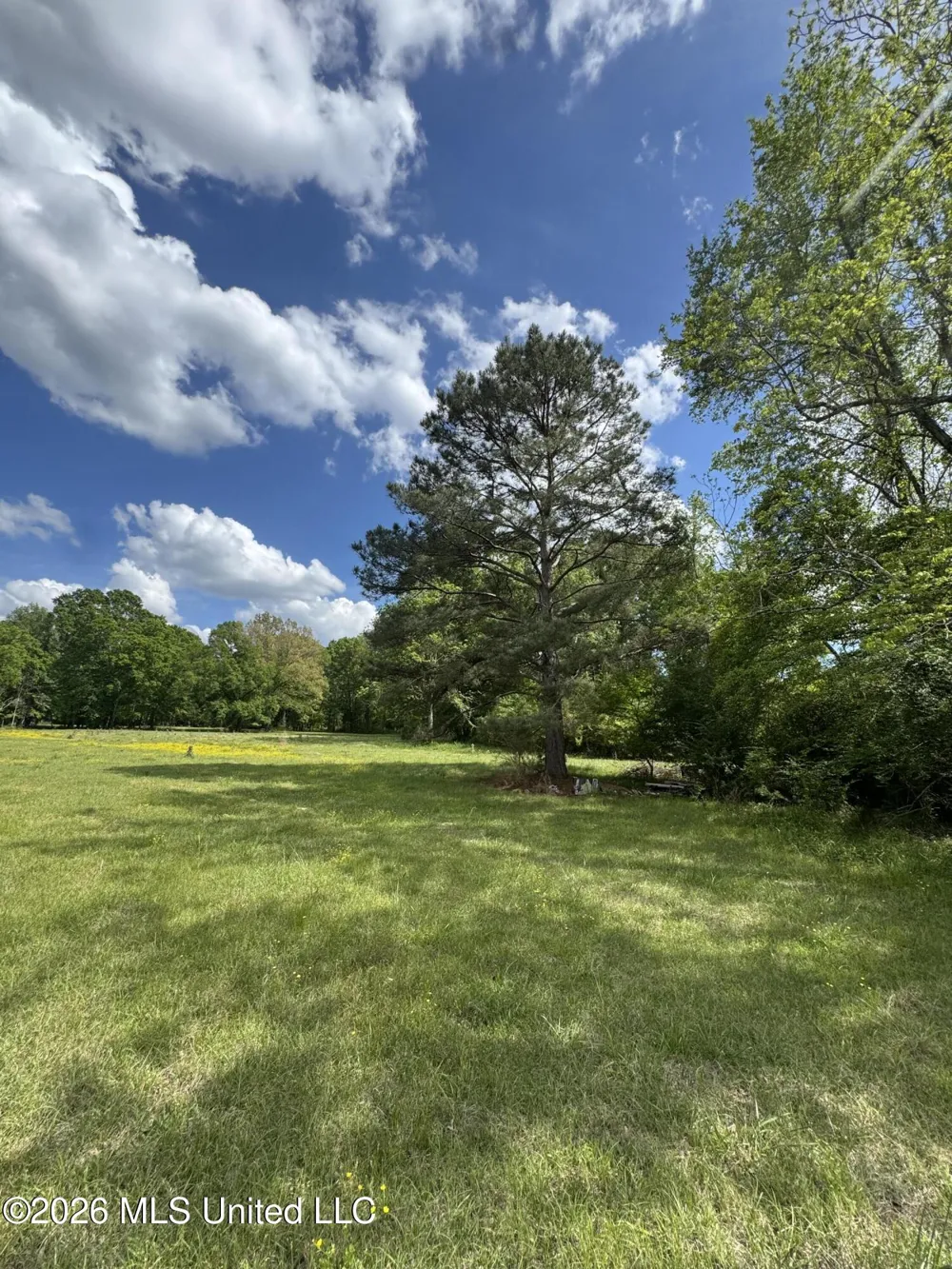 Ms-13 Mendenhall, MS 39114