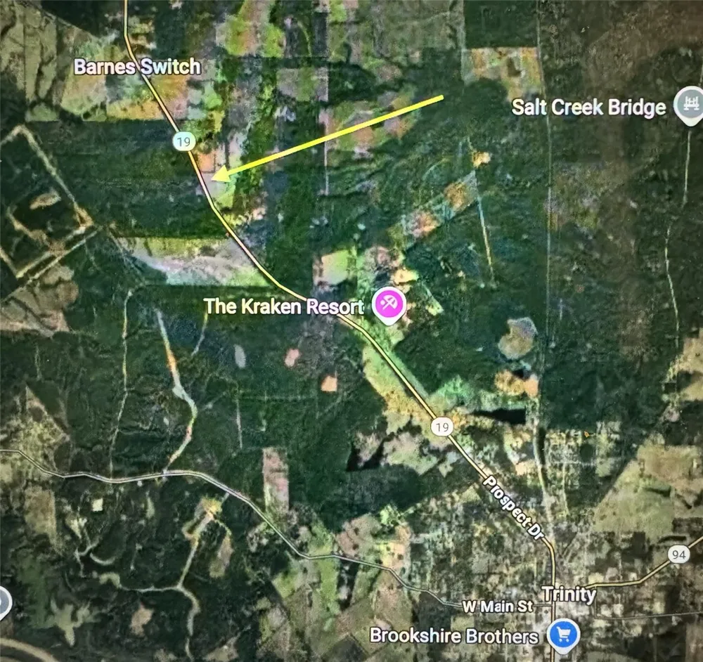 4109 State Highway 19 Trinity, TX 75862