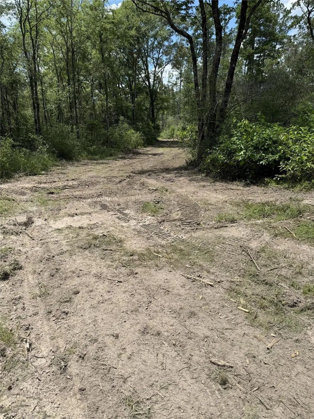 4109 State Highway 19 Trinity, TX 75862