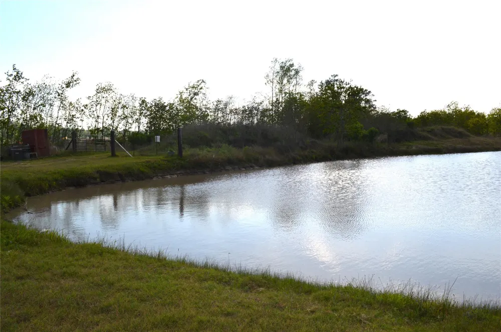 1639 Country Oaks Drive Crosby, TX 77532
