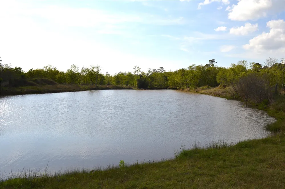 1639 Country Oaks Drive Crosby, TX 77532
