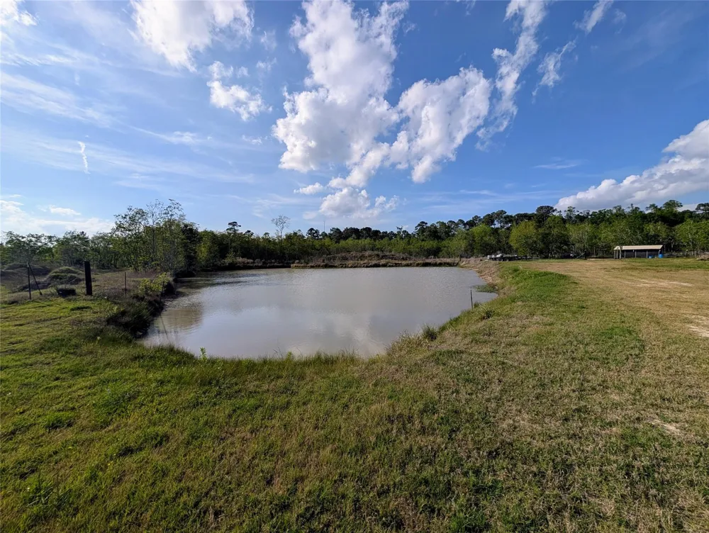 1639 Country Oaks Drive Crosby, TX 77532