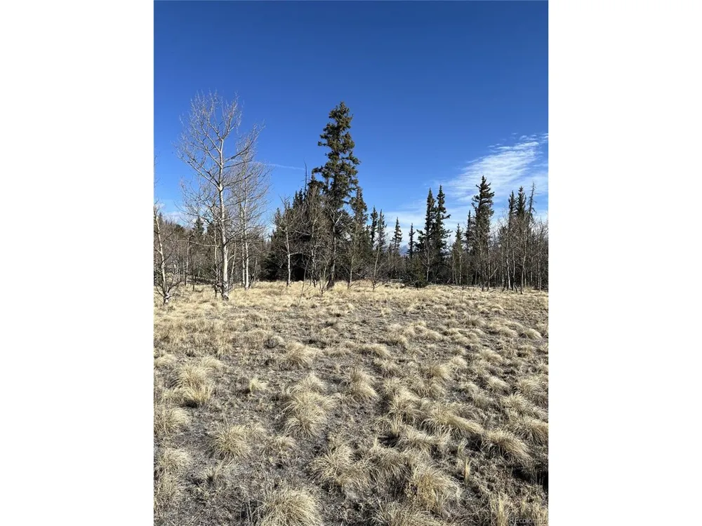 27 Warpath Road Como, CO 80432