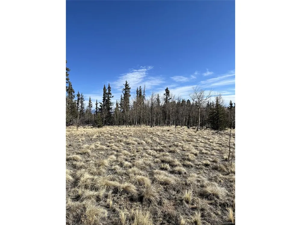 27 Warpath Road Como, CO 80432