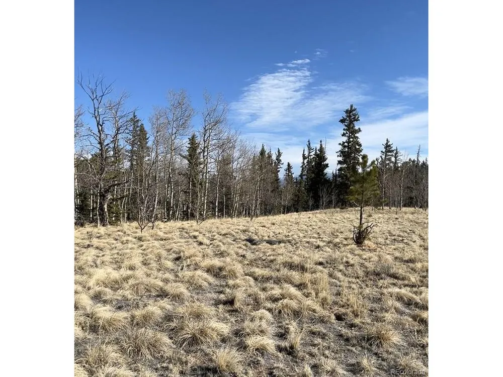 27 Warpath Road Como, CO 80432