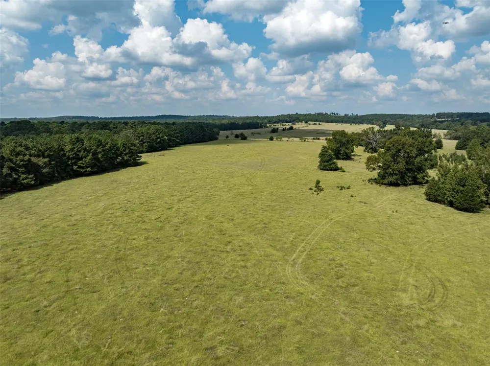 2 An County Road 153 Palestine, TX 75801