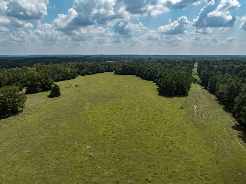 2 An County Road 153 Palestine, TX 75801