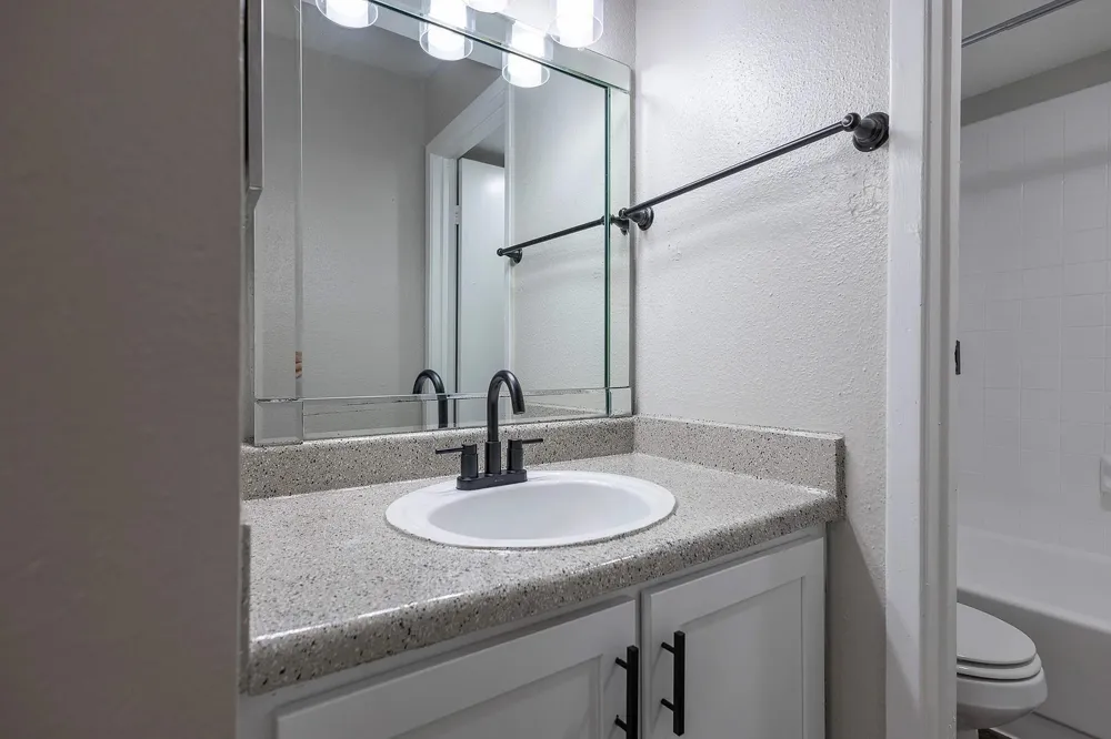 15100 Golden Eagle Drive #702 Humble, TX 77396