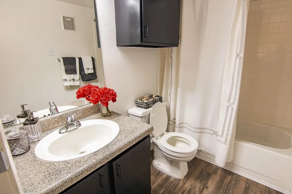 15100 Golden Eagle Drive #702 Humble, TX 77396