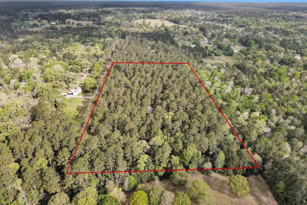 Cedar Lane Loop Willis, TX 77378