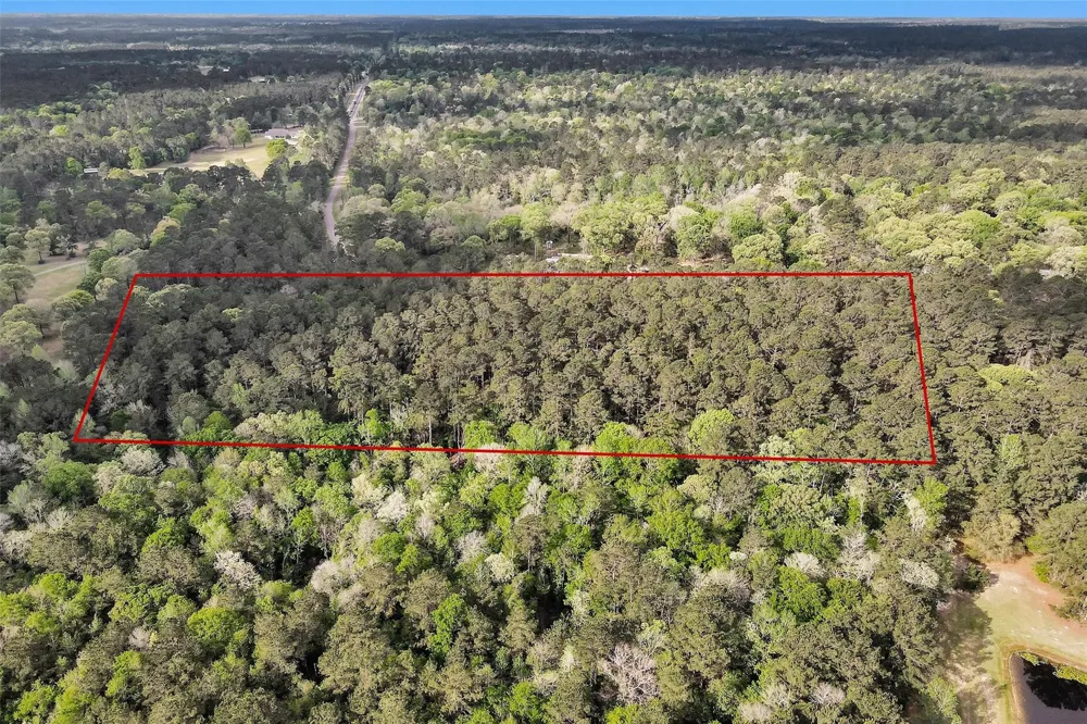 Cedar Lane Loop Willis, TX 77378