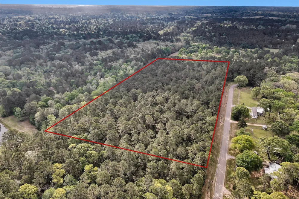 Cedar Lane Loop Willis, TX 77378