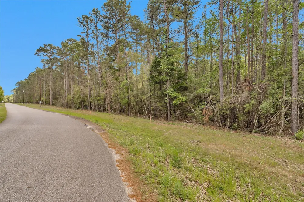 Cedar Lane Loop Willis, TX 77378