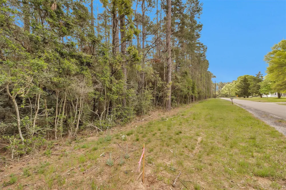 Cedar Lane Loop Willis, TX 77378