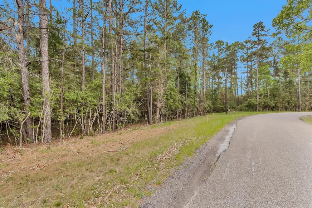 Cedar Lane Loop Willis, TX 77378