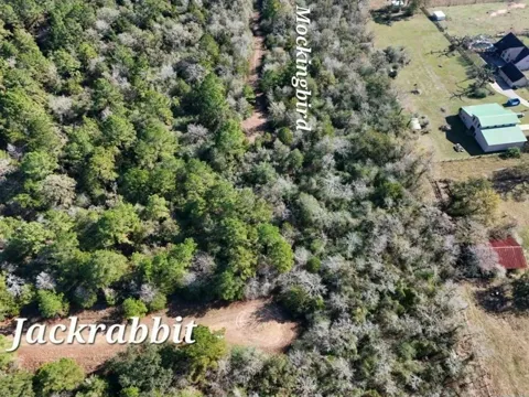 28802 Jackrabbit Drive