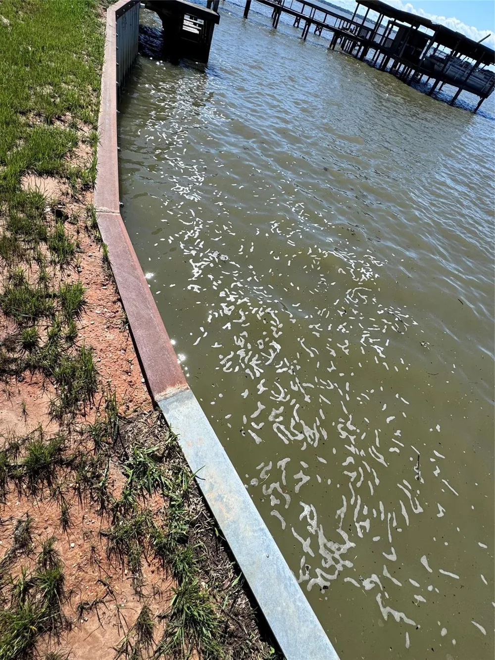 108 Javelina Street Onalaska, TX 77360