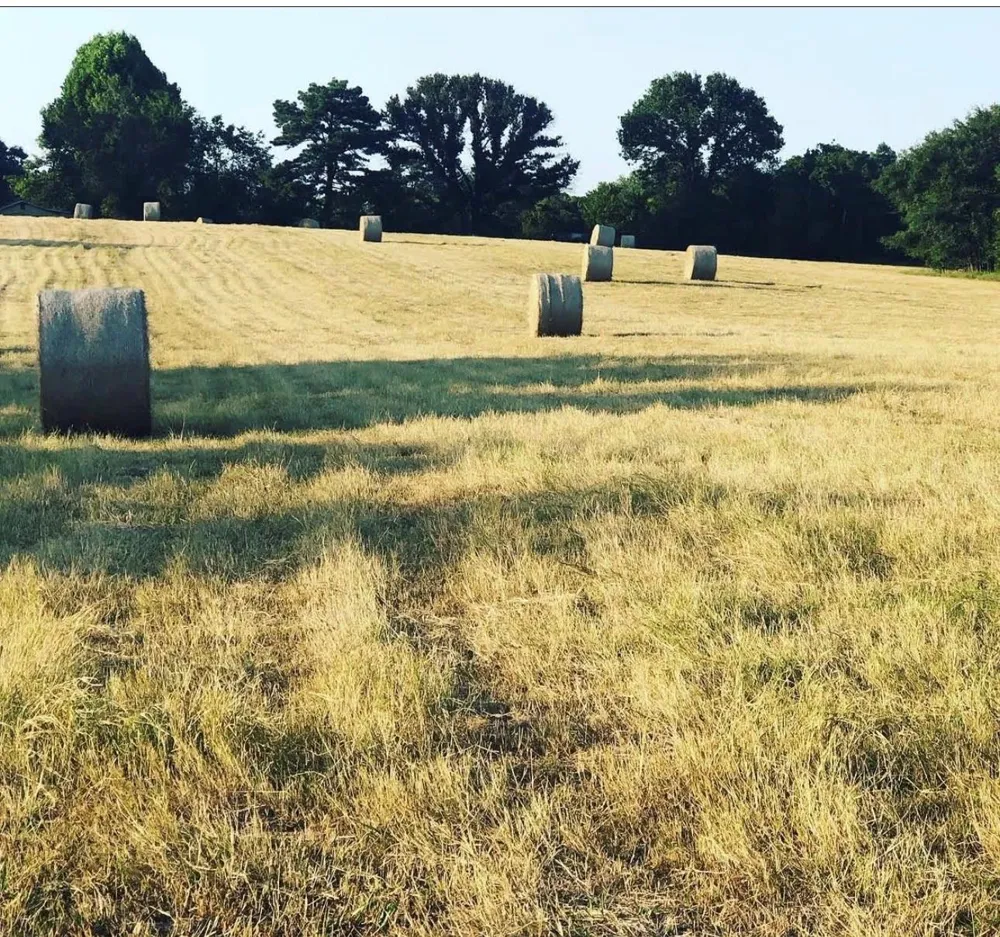 1824 County Road 1905 Jacksonville, TX 75766