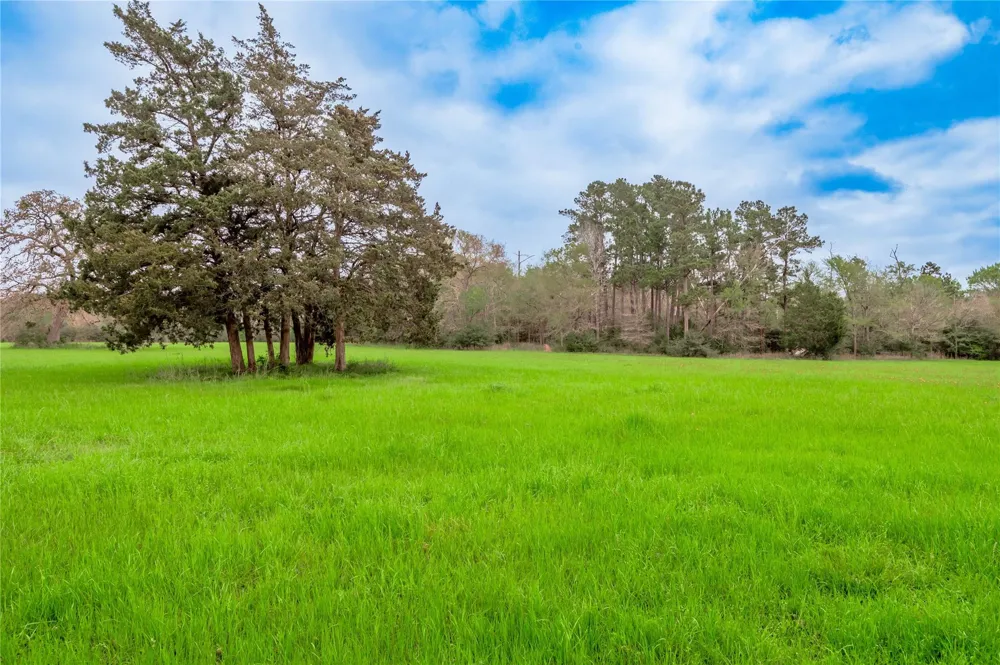 758 Wire Road Huntsville, TX 77320