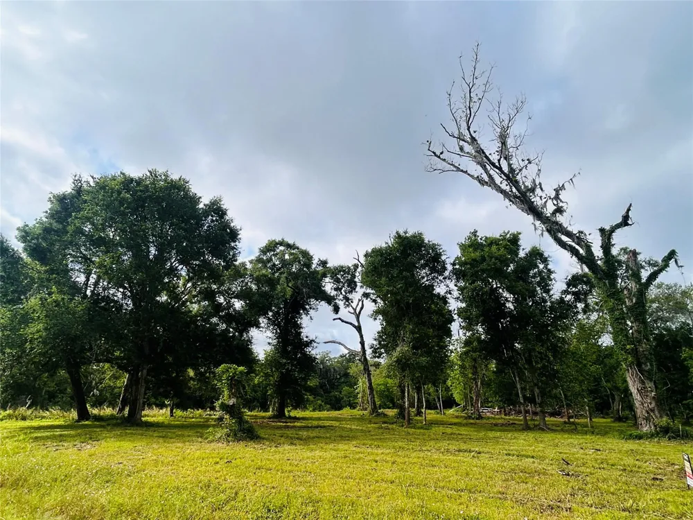 1214 Chuckwagon Court Angleton, TX 77515