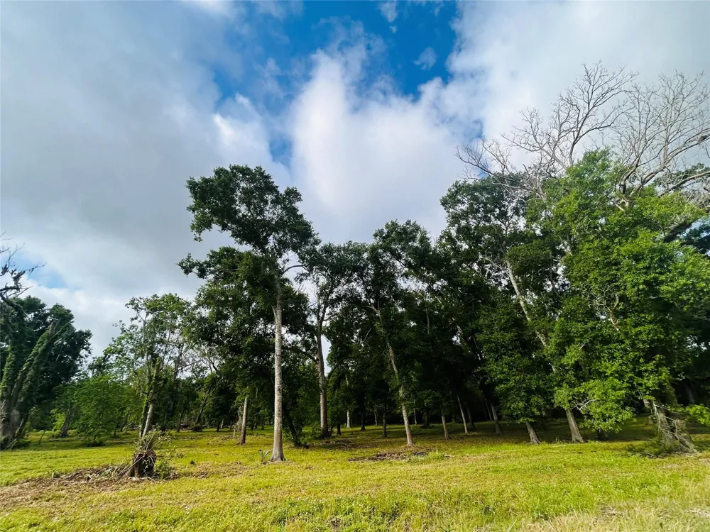 1214 Chuckwagon Court Angleton, TX 77515