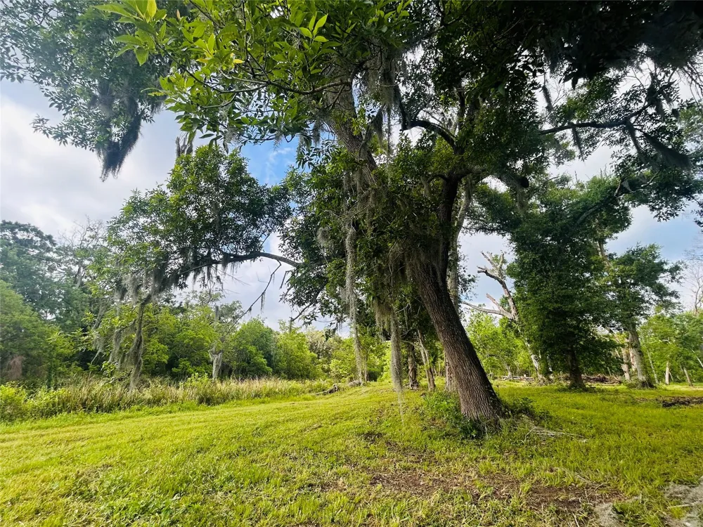 1214 Chuckwagon Court Angleton, TX 77515