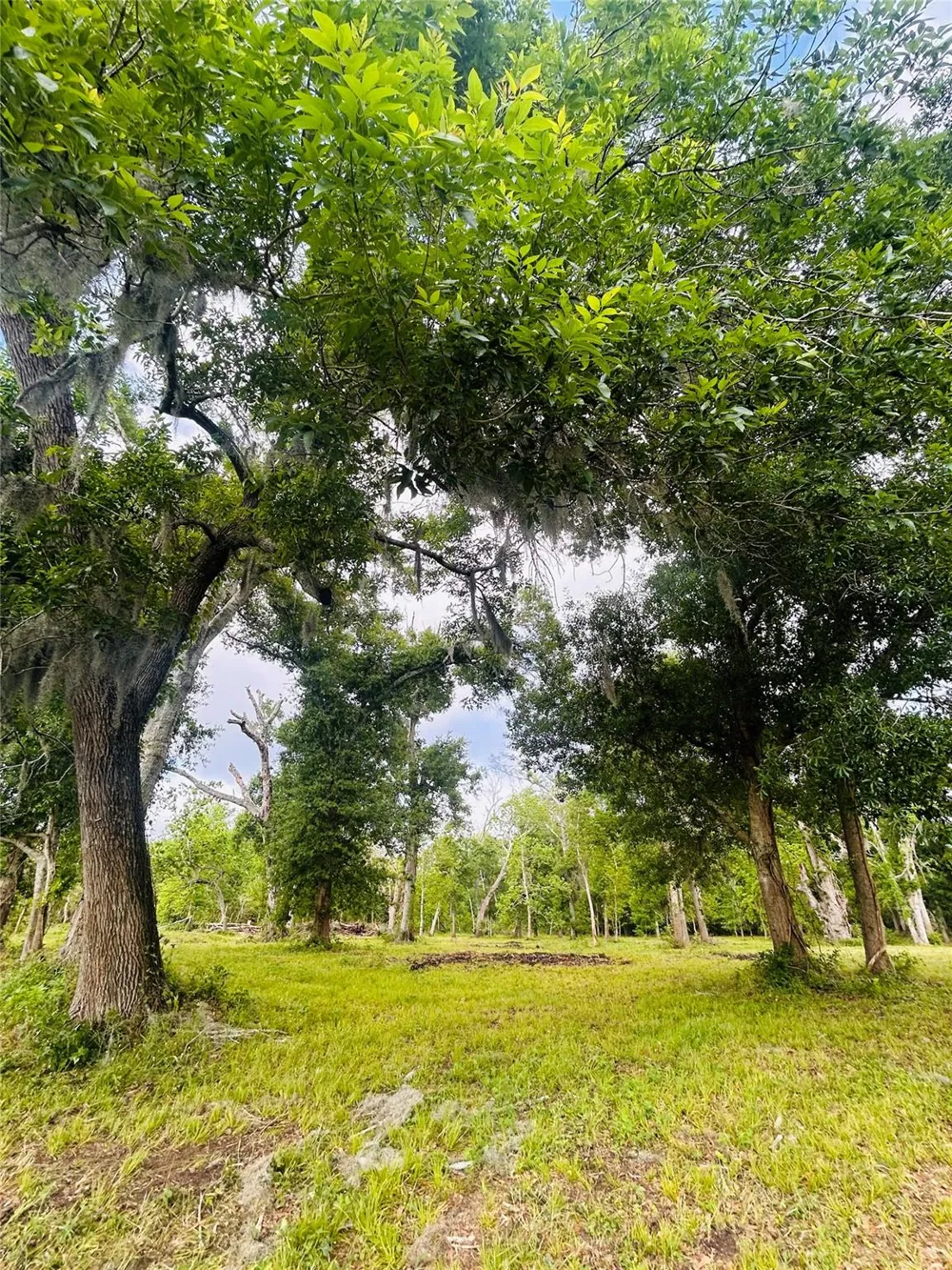 1214 Chuckwagon Court Angleton, TX 77515