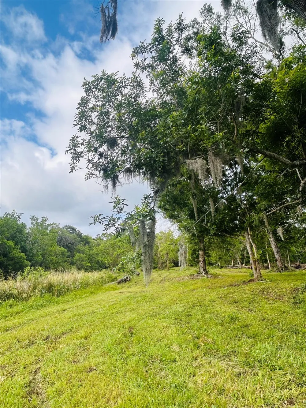 1214 Chuckwagon Court Angleton, TX 77515