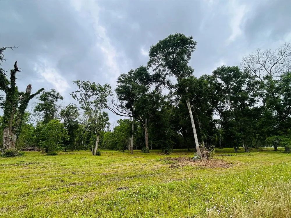 1214 Chuckwagon Court Angleton, TX 77515