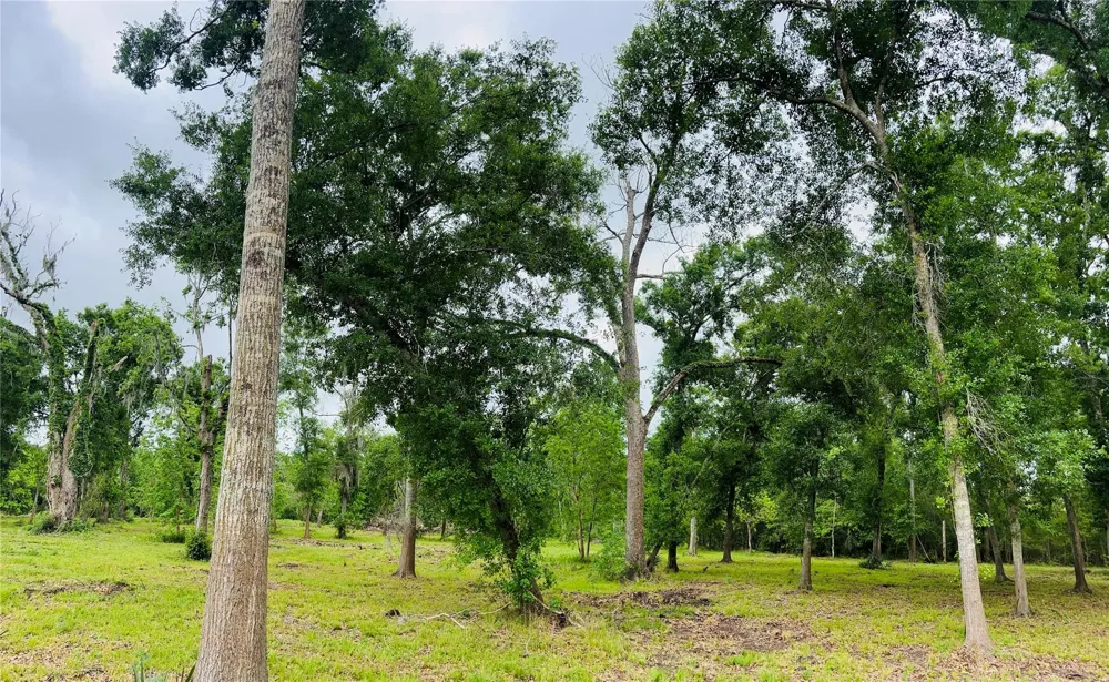 1214 Chuckwagon Court Angleton, TX 77515