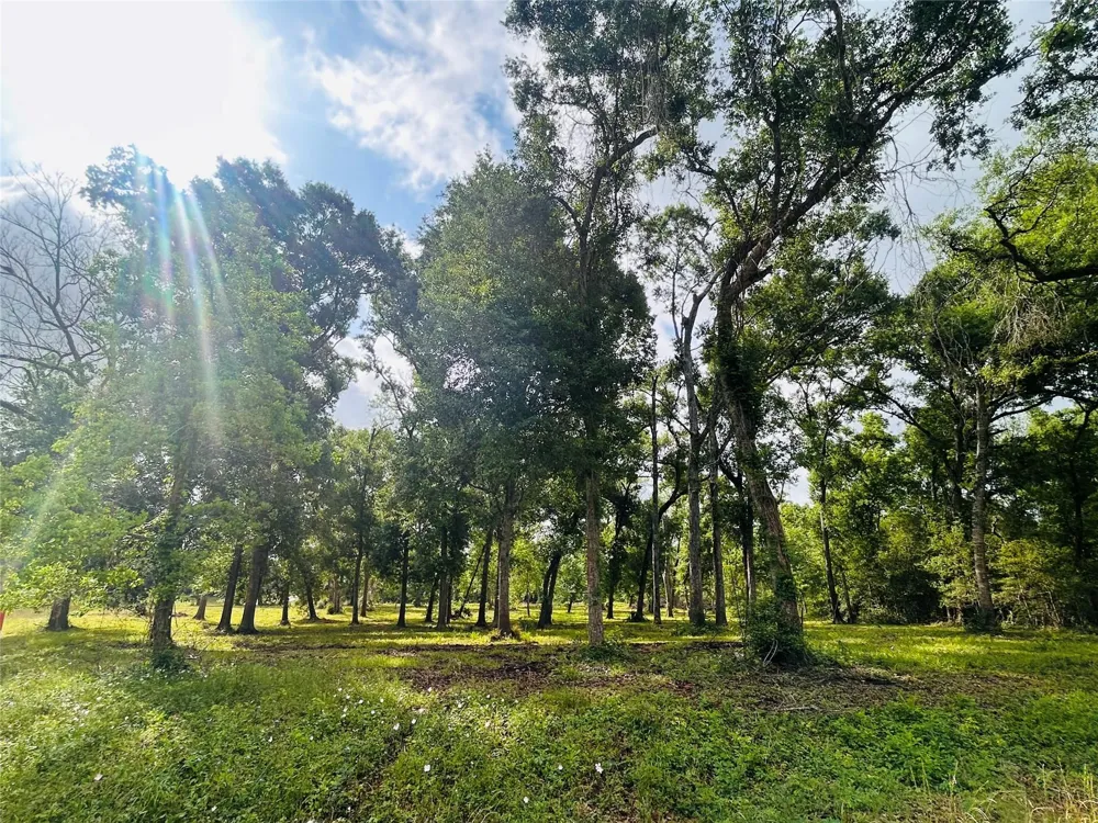 1214 Chuckwagon Court Angleton, TX 77515