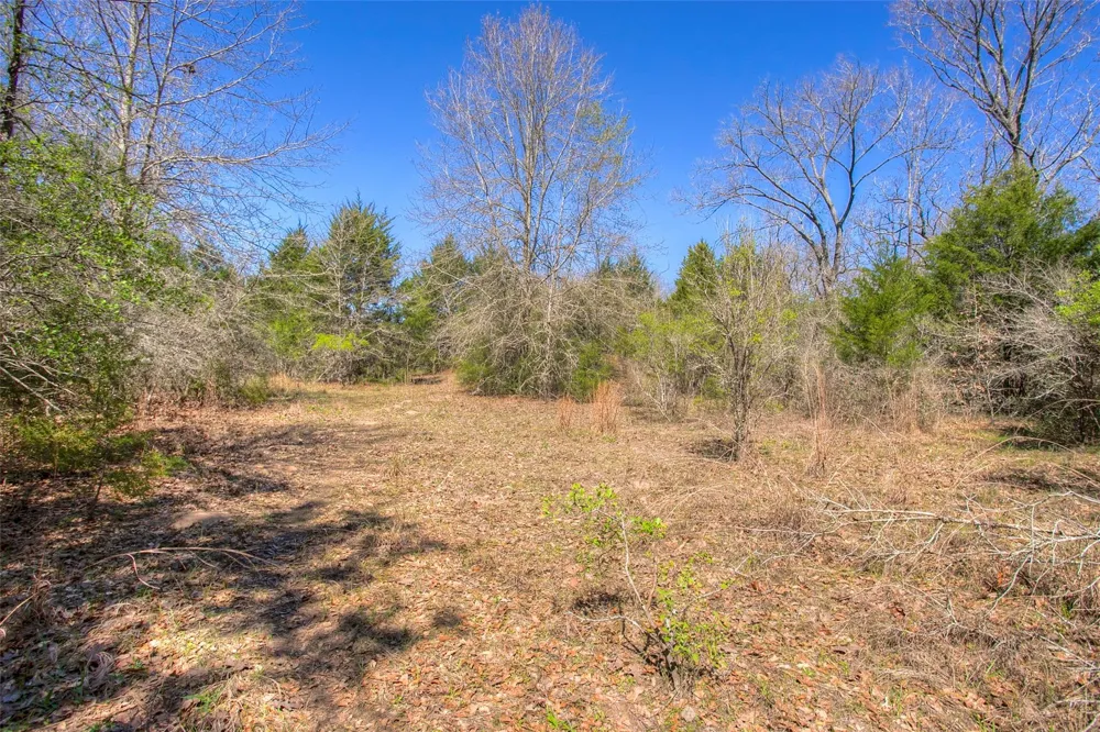 County Road 482 Normangee, TX 77871