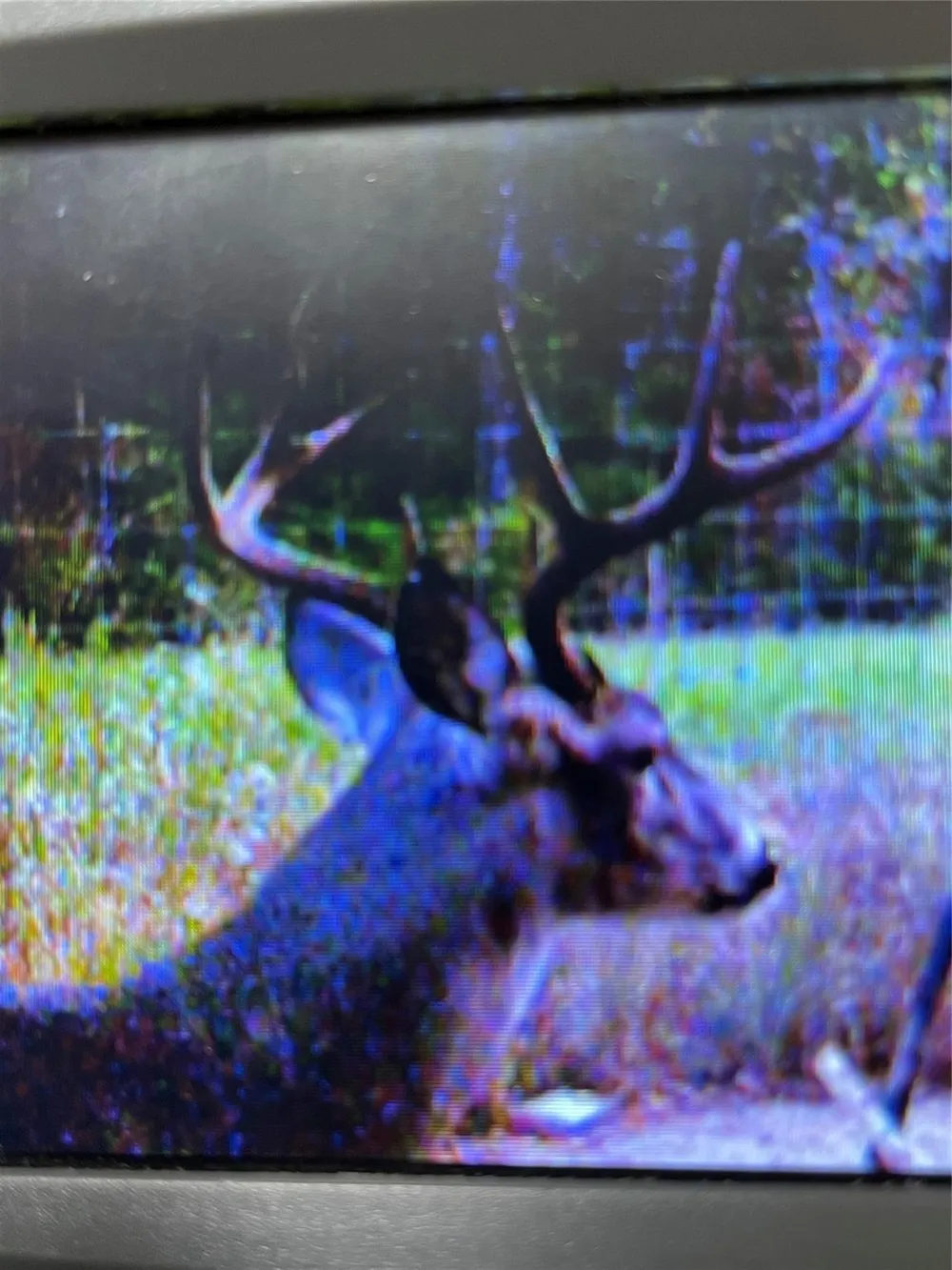 County Road 482 Normangee, TX 77871