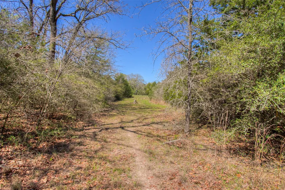County Road 482 Normangee, TX 77871
