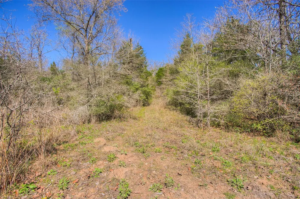 County Road 482 Normangee, TX 77871